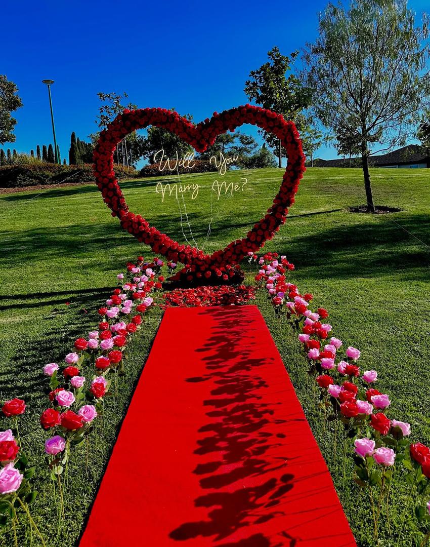 Expert Team Management